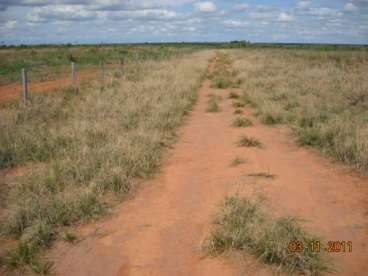 Mt - gaucha do norte - mt fazendas