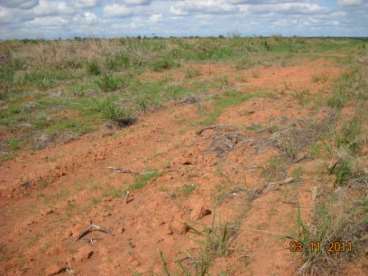 Mt - gaucha do norte - mt fazendas