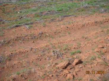 Mt - gaucha do norte - mt fazendas