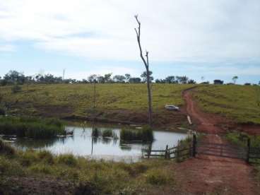 Mt - guaranta do norte - mt fazendas