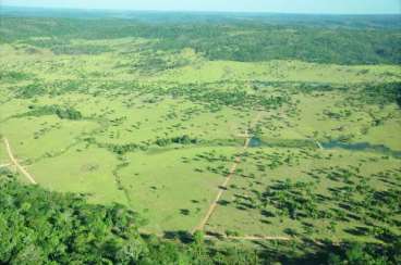 Mt - guaranta do norte - mt fazendas