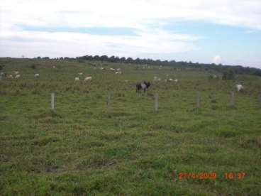 Mt - juina - mt fazendas