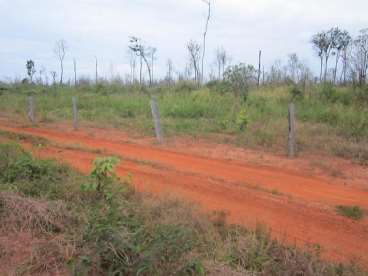 Mt - marcelandia - mt fazendas