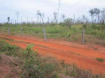 Mt - marcelandia - mt fazendas