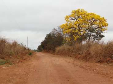 Mt - mirassol doeste fazendas