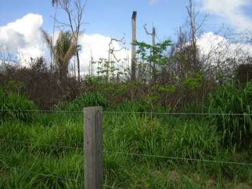 Mt - nova bandeirantes - mt fazendas