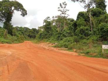 Mt - nova maringá- mt fazendas