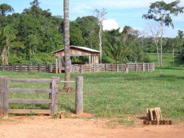 Mt - nova maringá- mt fazendas