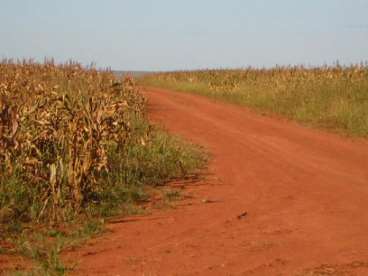 Mt - nova mutum - mt fazendas