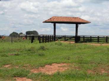 Mt - peixoto de azevedo - mt fazendas