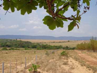 Mt - rosário oeste - mt fazendas