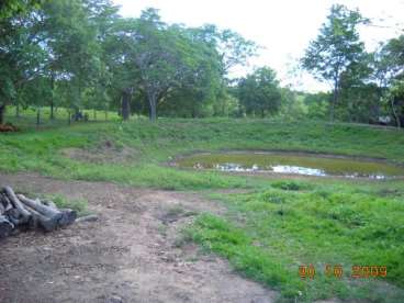 Mt - rosário oeste - mt fazendas