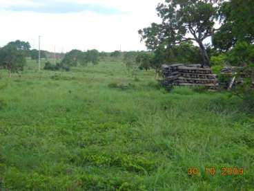 Mt - rosário oeste - mt fazendas