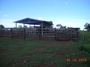 Mt - rosário oeste - mt fazendas