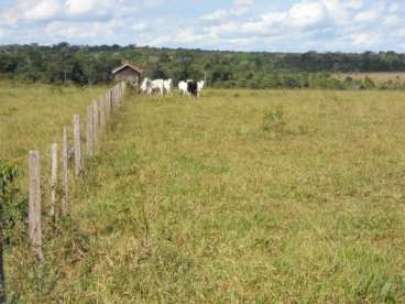 Mt - sao jose do rio claro - mt fazendas