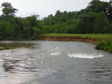 Mt - tangara da serra - mt fazendas