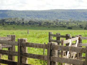 Mt - tangara da serra - mt fazendas