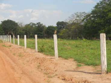 Mt - vila rica - mt fazendas