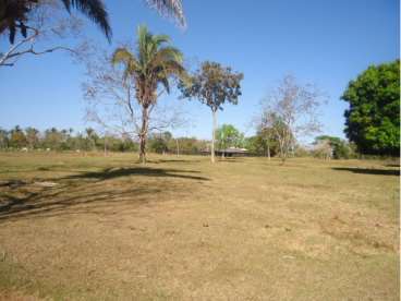 Nobres mt(agricultura/pecuária)