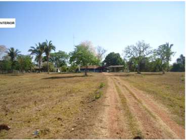 Nobres mt(agricultura/pecuária)