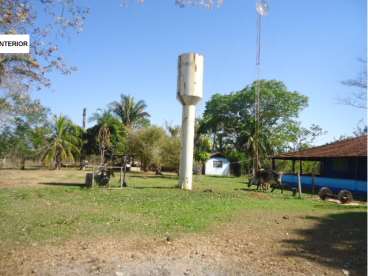 Nobres mt(agricultura/pecuária)