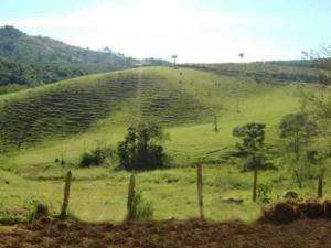 Sítio em ouro fino - minas gerais