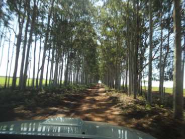 Ótima fazenda de 9.000 ha en. - 147