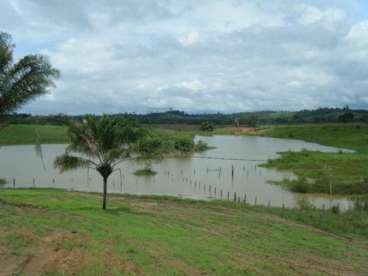 Pa - marabá - pa fazendas