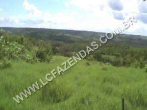 Fazenda no norte de minas gerais/lontra - minas ge