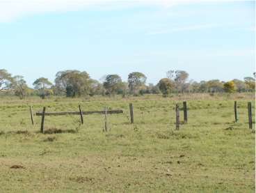 Poconé mt -130 km de cuiabá(bom investimento)