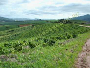 Sao paulo - fazenda na regiao de socorro,