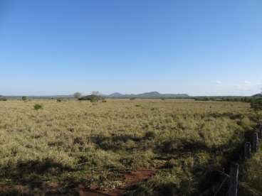 Fazenda 200 ha