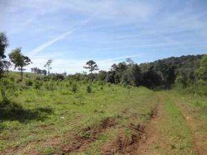 Sítio em santa rita de caldas - minas gerais