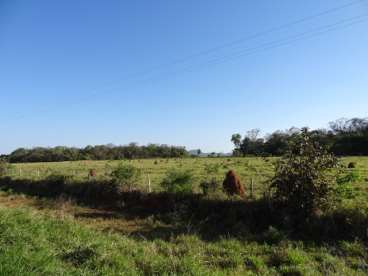 Fazenda 200 ha