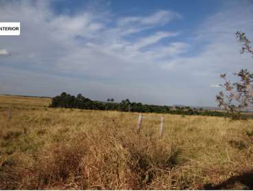 Tesouro mt (pecuária e agricultura)