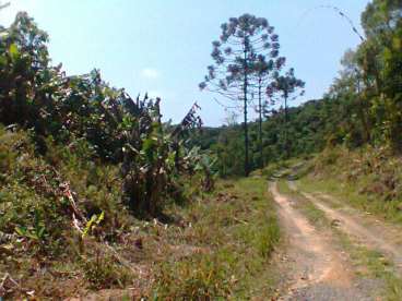 Vendo fazenda de 290 ha - piedade, sp