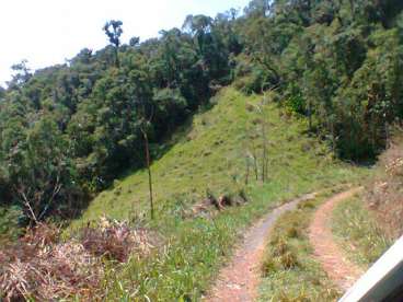 Vendo fazenda de 290 ha - piedade, sp