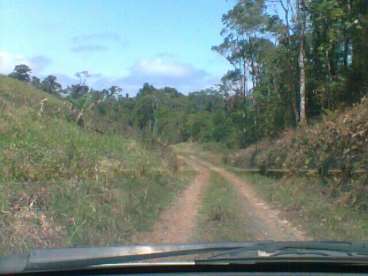 Vendo fazenda de 290 ha - piedade, sp