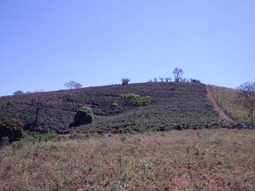 Propr familiar sao pedro uniao sudoeste mg