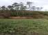 Terreno 3.000m2 em ribeirao capixaba