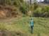 Terreno 3.000m2 em ribeirao capixaba