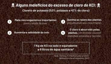 Economize no seu potássio, ganhe mais nutrientes