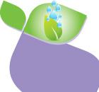 Fertilizante profol boro