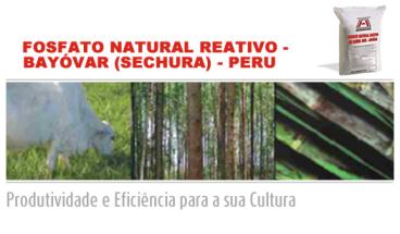Fertilizante fosfato natural reativo bayóvar (sech
