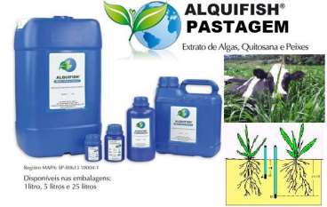 Alquifish pastagem galao de 5 litros