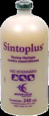 Sintoplus