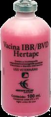 Ibr/bvd