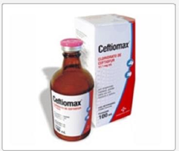 Antibiótico ceftiomax