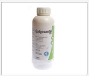 Controle de pragas galgosantel oral 7.5