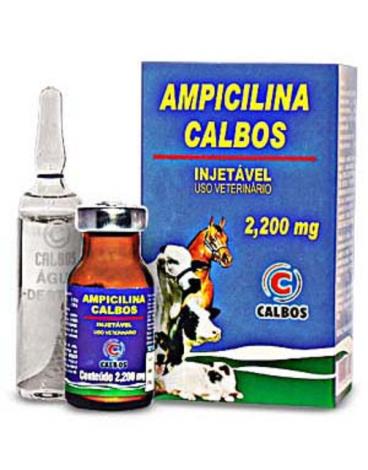 Ampicilina calbos injetável